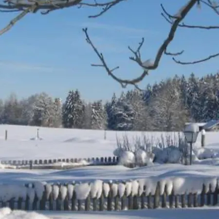 Apartman Alter Ledererhof *